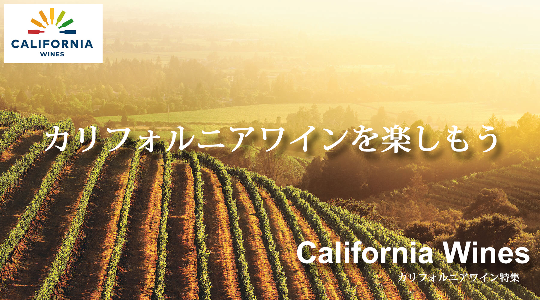 CALIFORNIA WINES