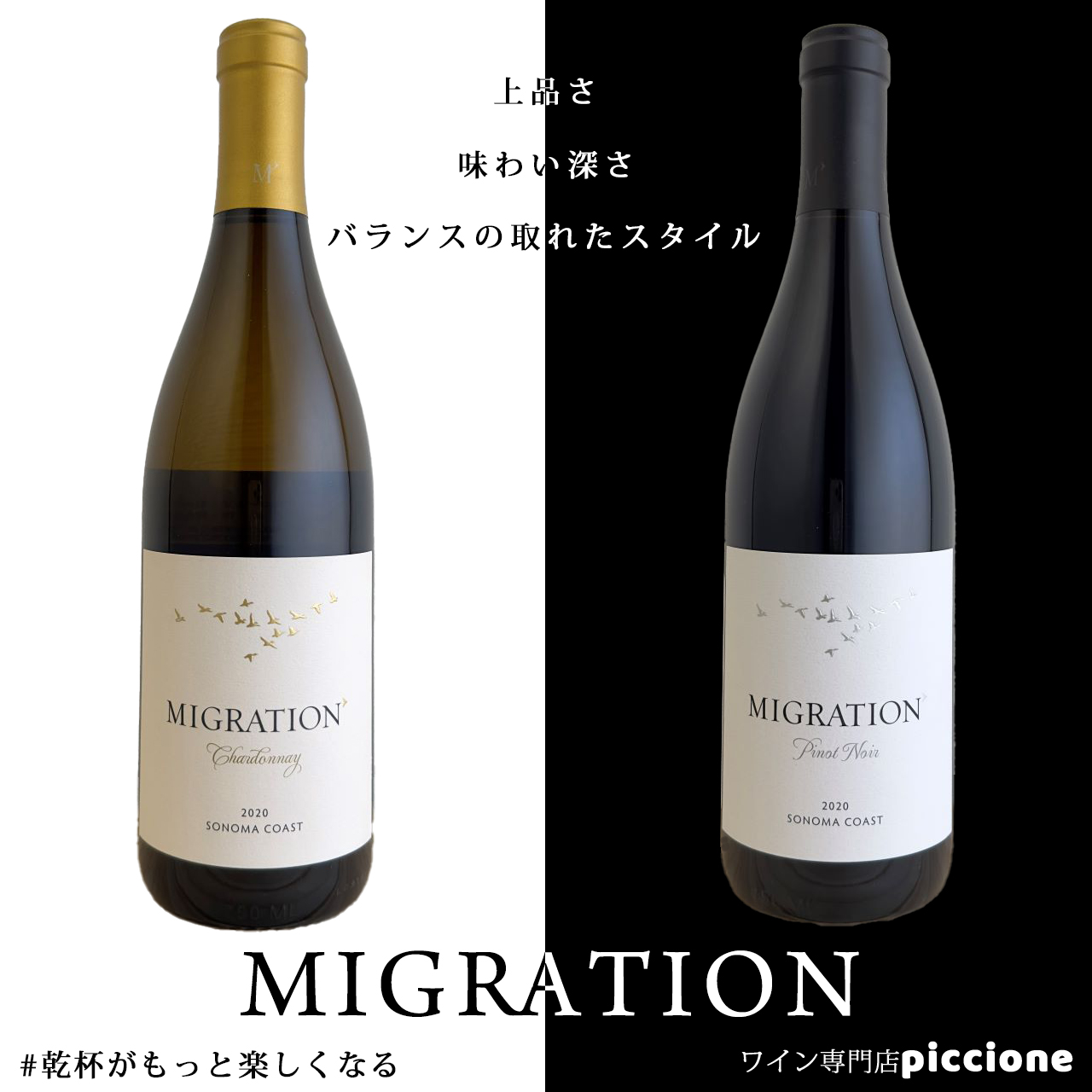 5月15日入荷情報
