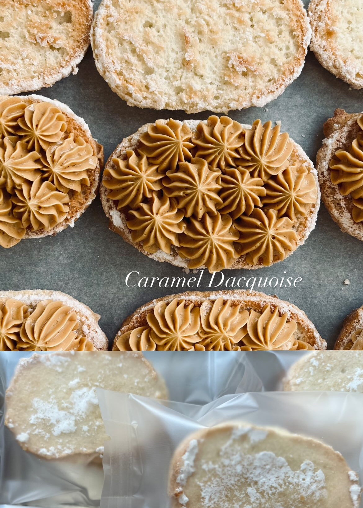 アプリ掲載再開のお知らせ