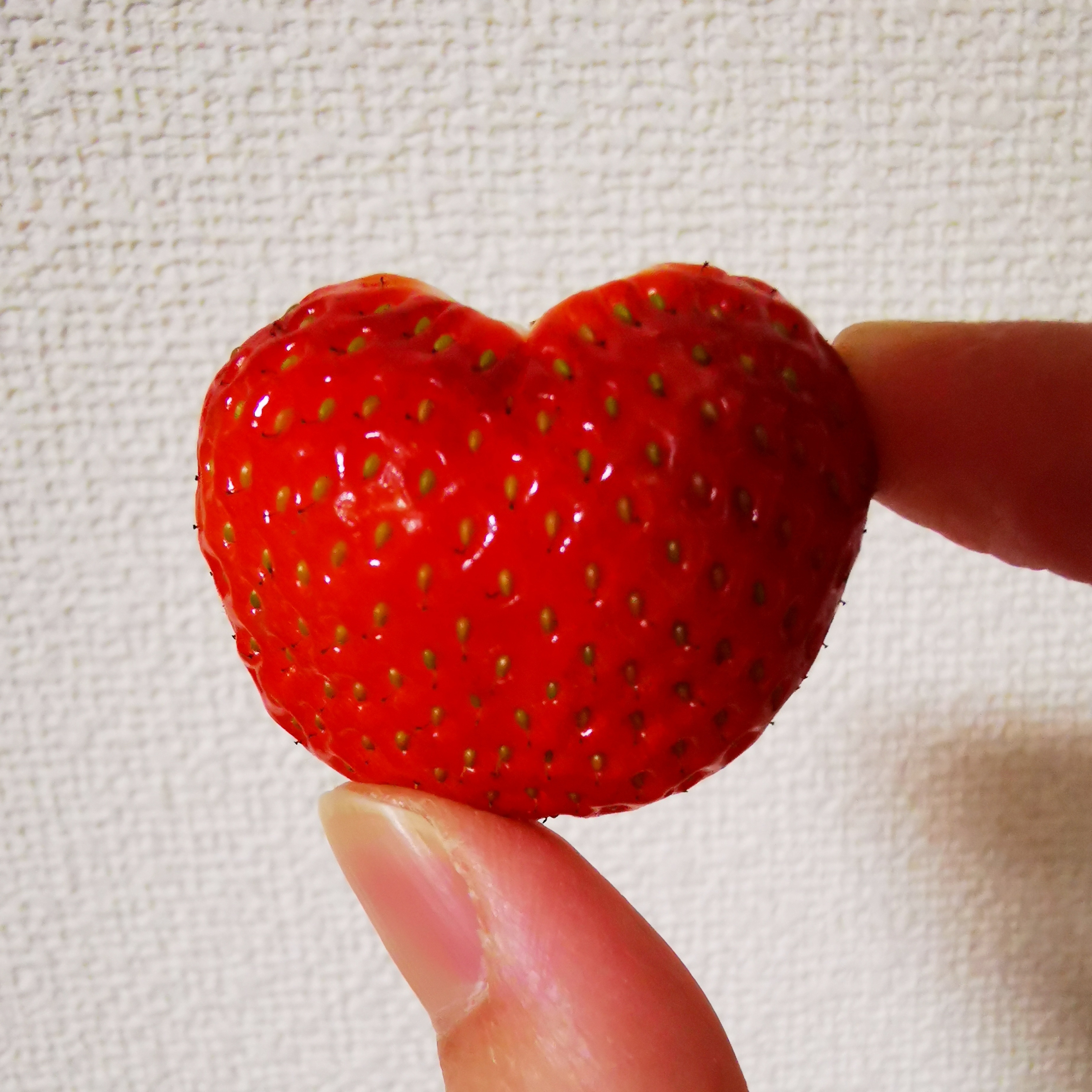 いちごのアクセサリー特集🍓