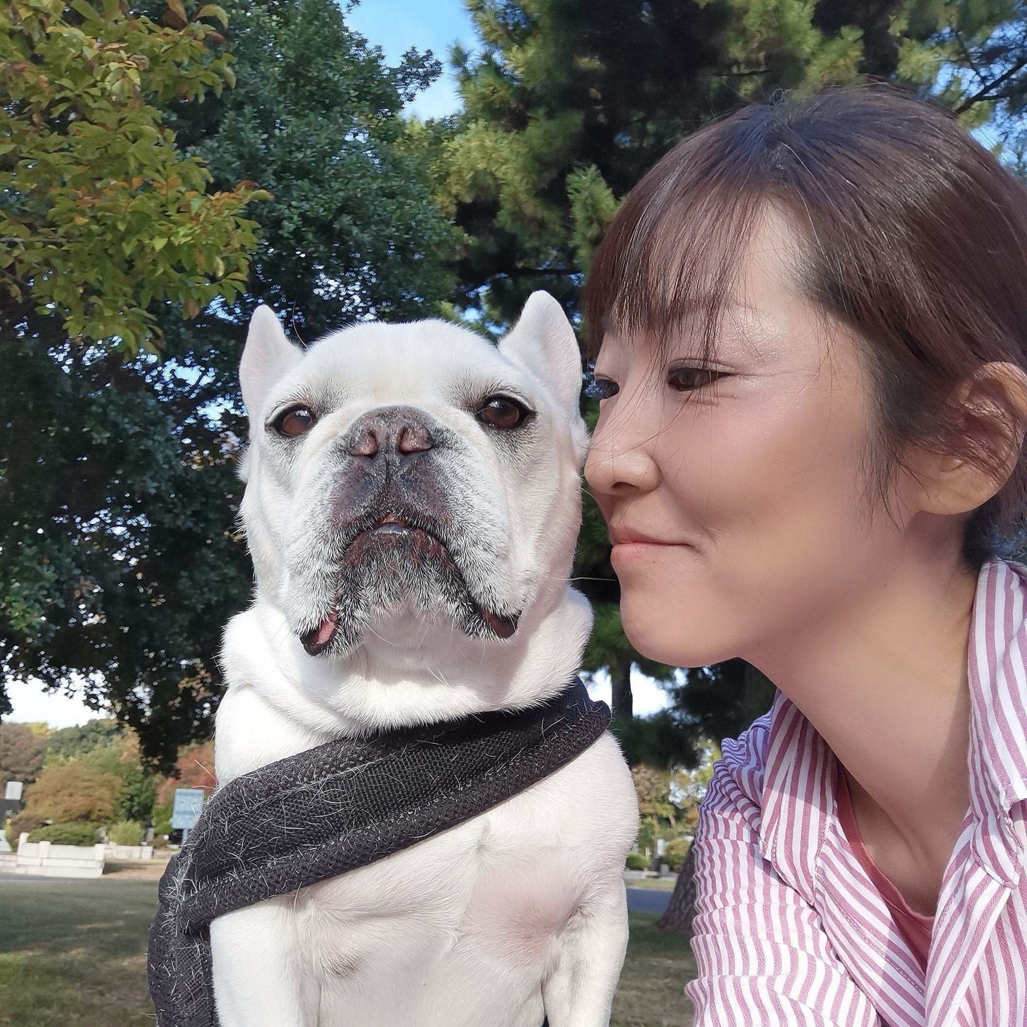 私について…♡