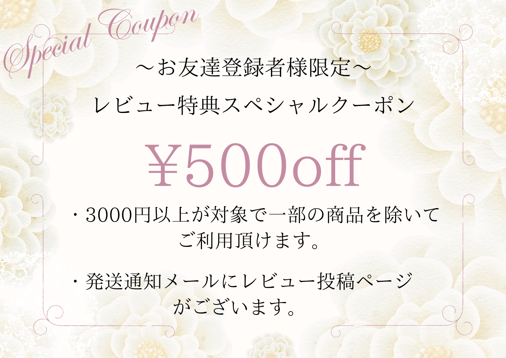 レビューを書いて500円Offクーポンゲット