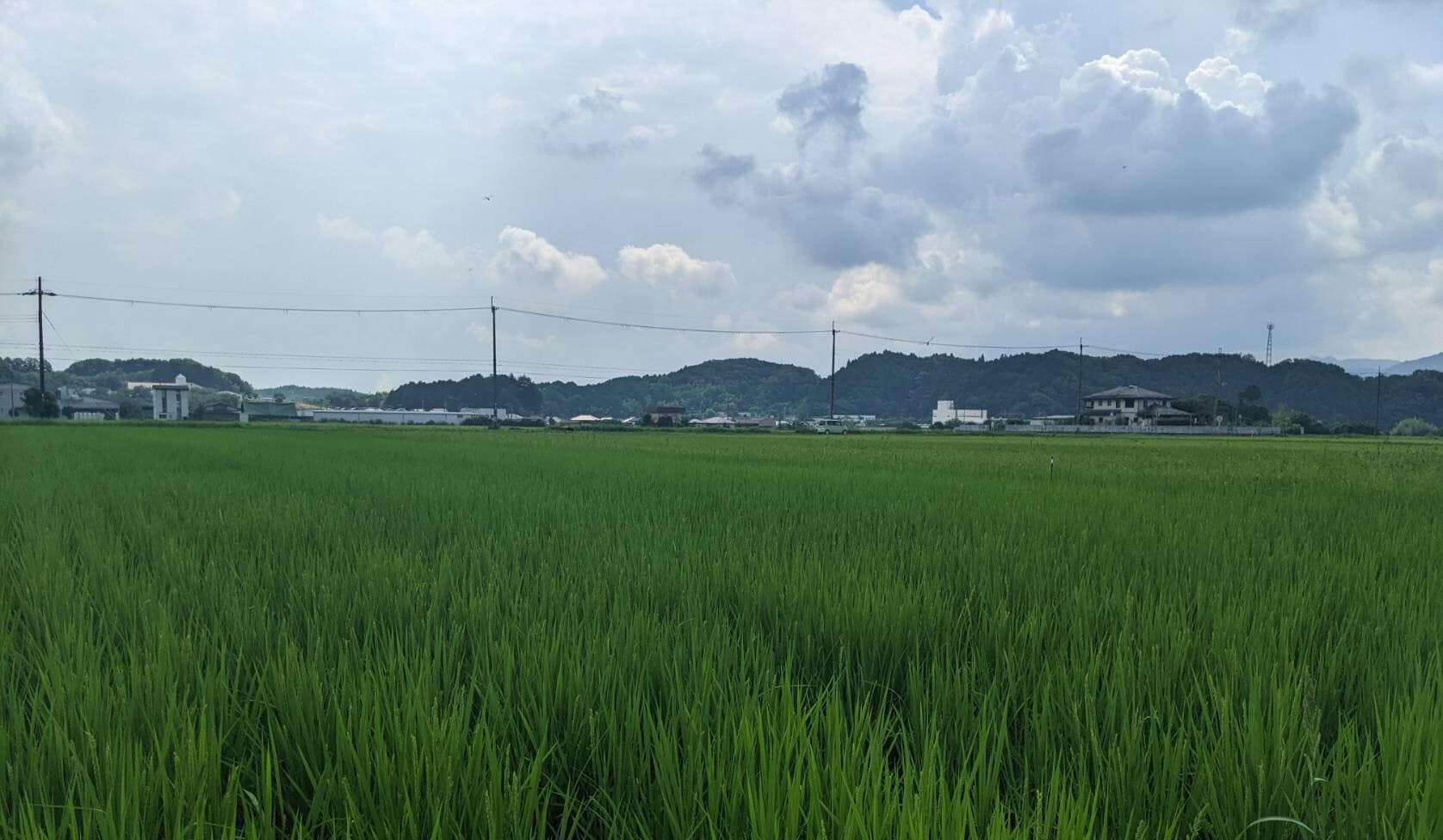９月になり