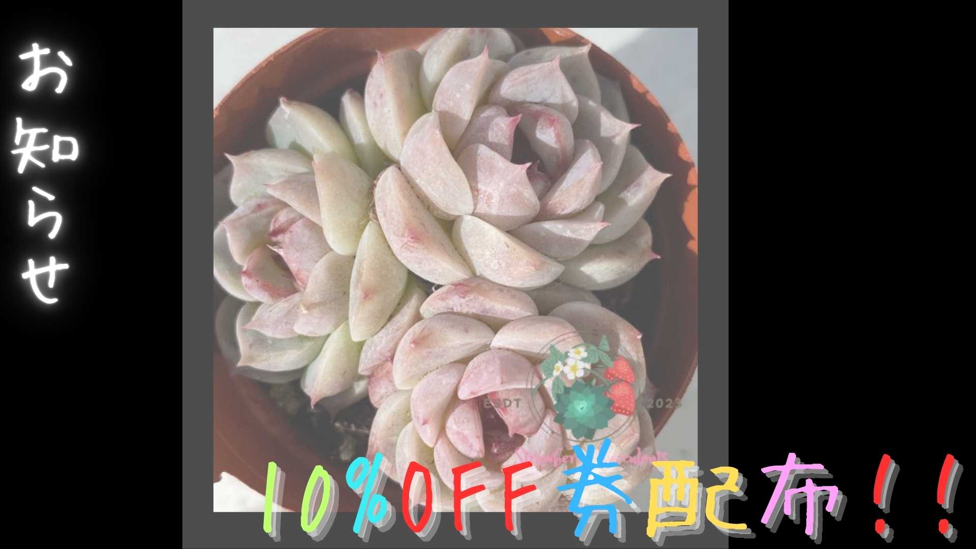 お知らせが三つあります！