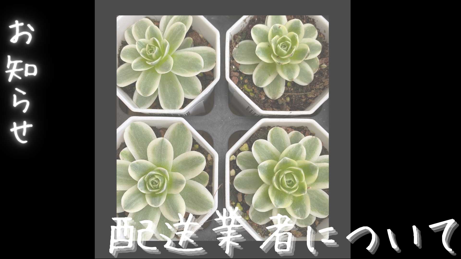 配送業者について、お知らせがございます！