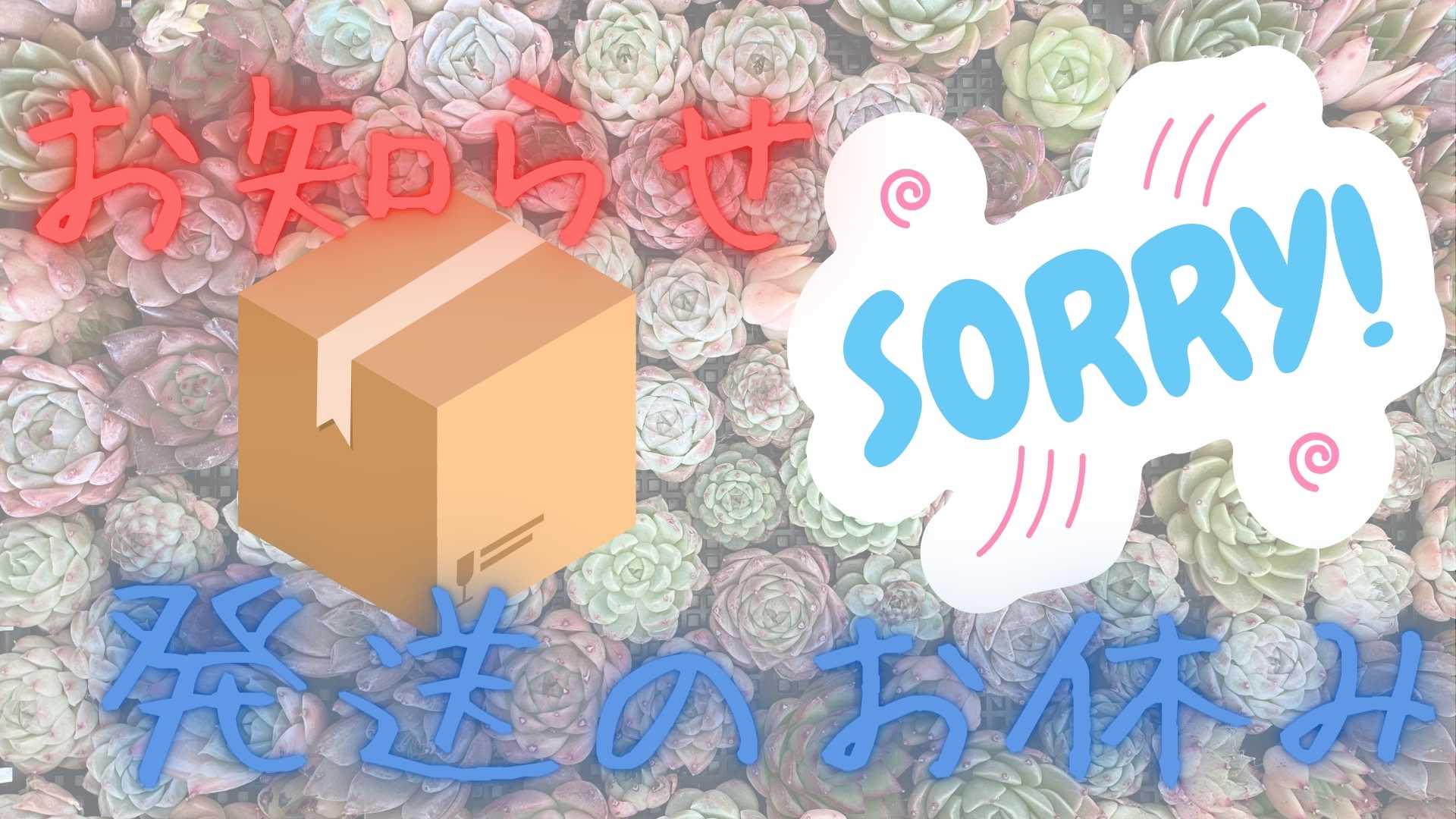 13日(土)まで発送をお休みします🙇‍♀️