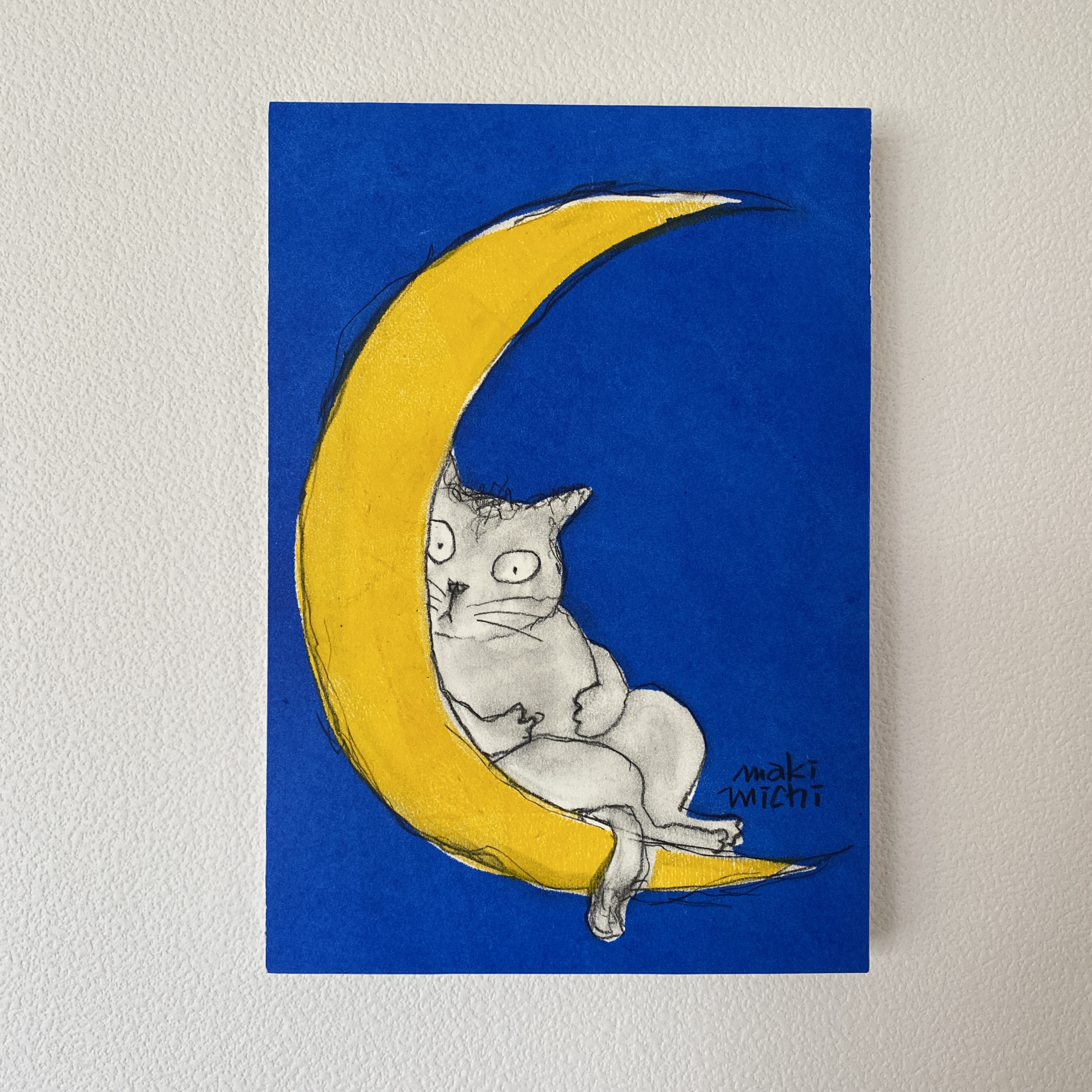 月と猫