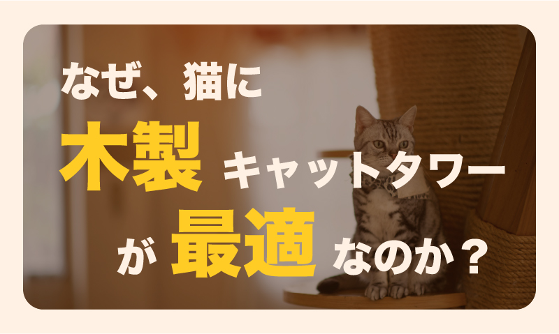 なぜ、猫に木製キャットタワーが『最適』なのか？