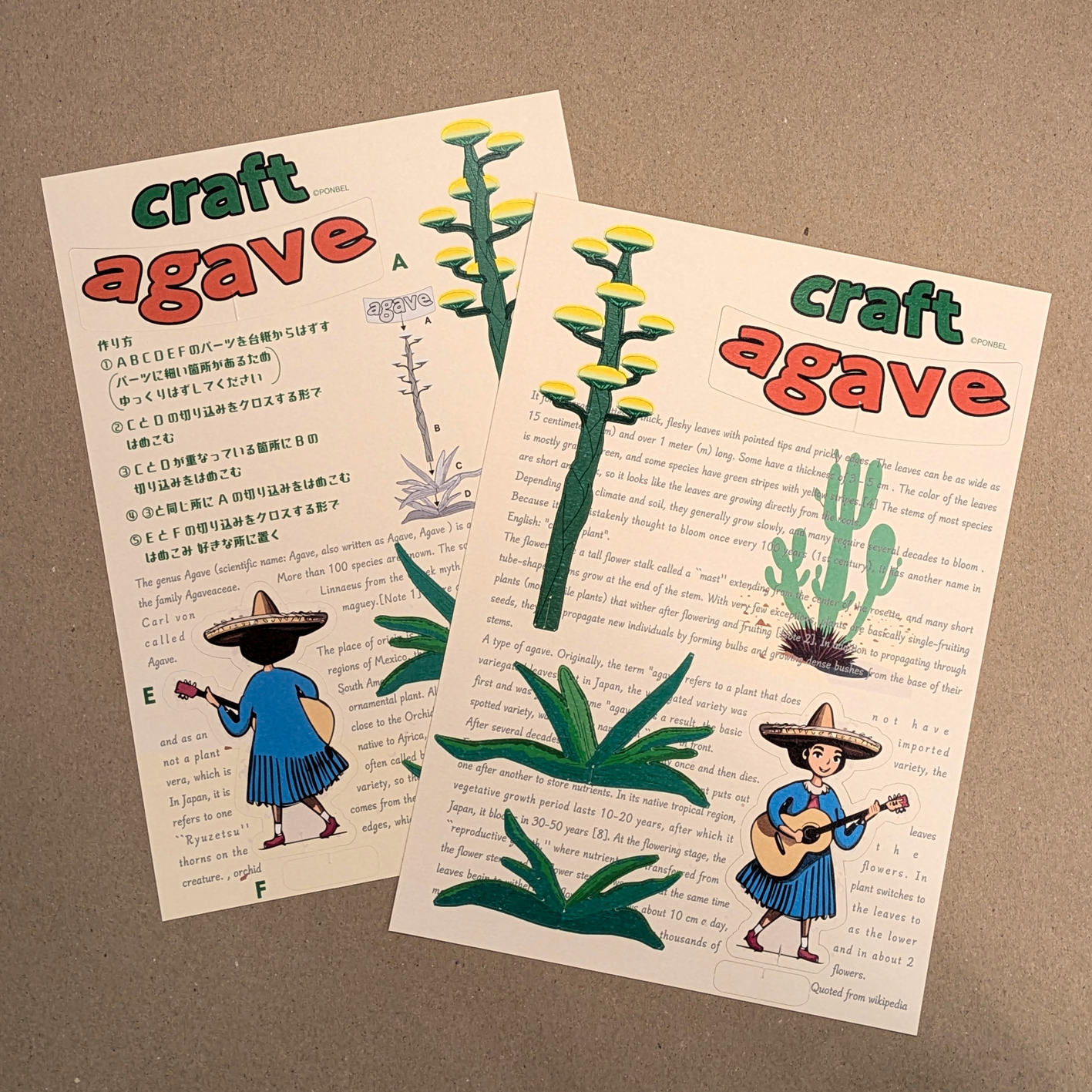 〈新商品追加〉クラフトアガベ🌼👒