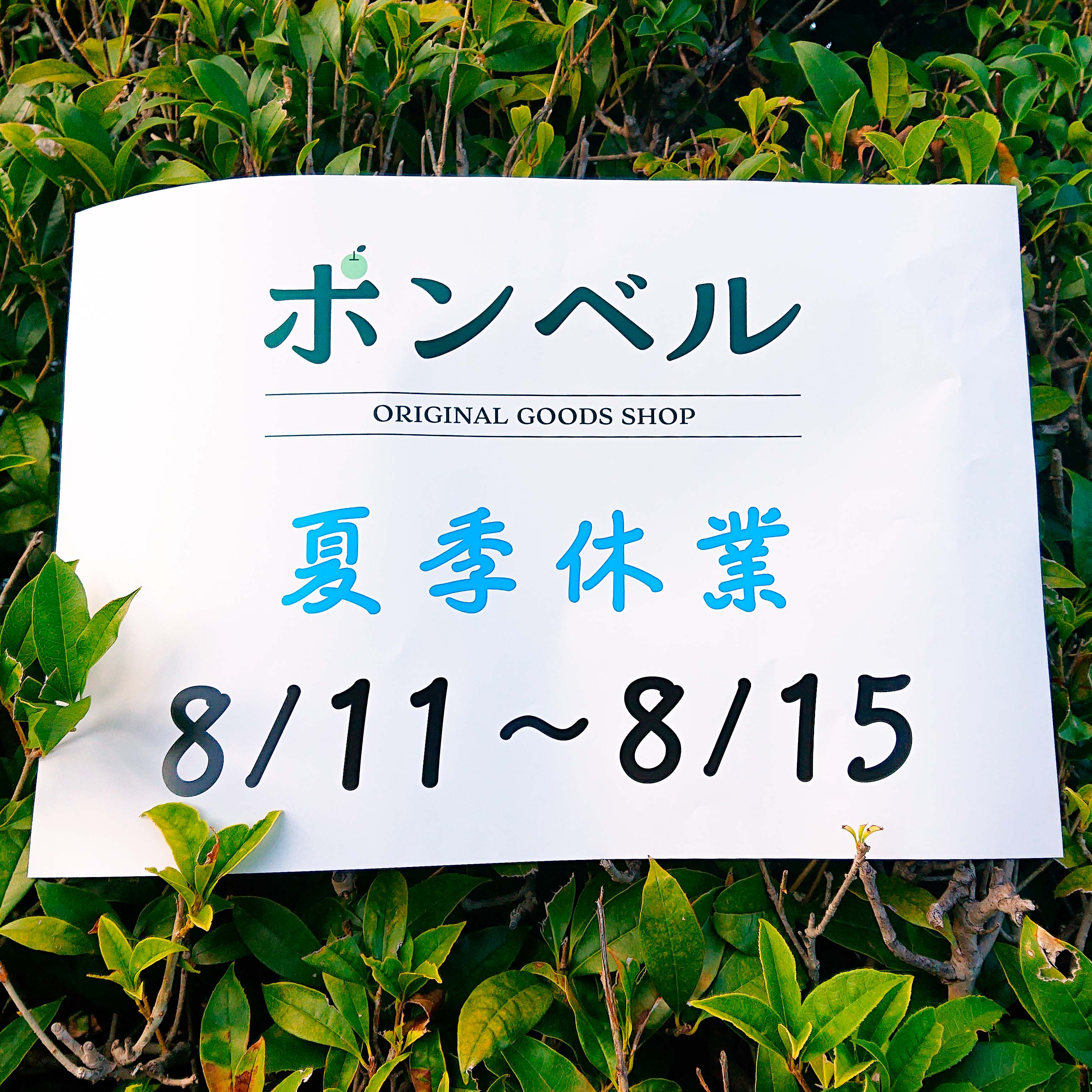 【夏季休業のお知らせです🌻】