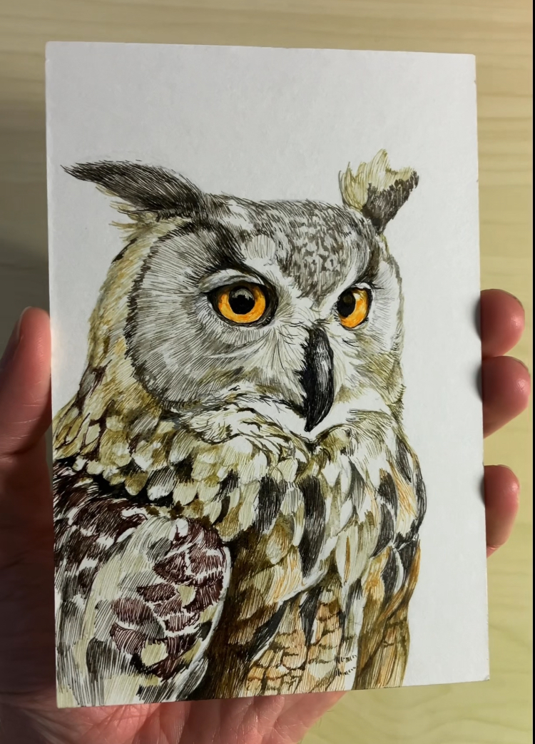 ミミズクのペン画