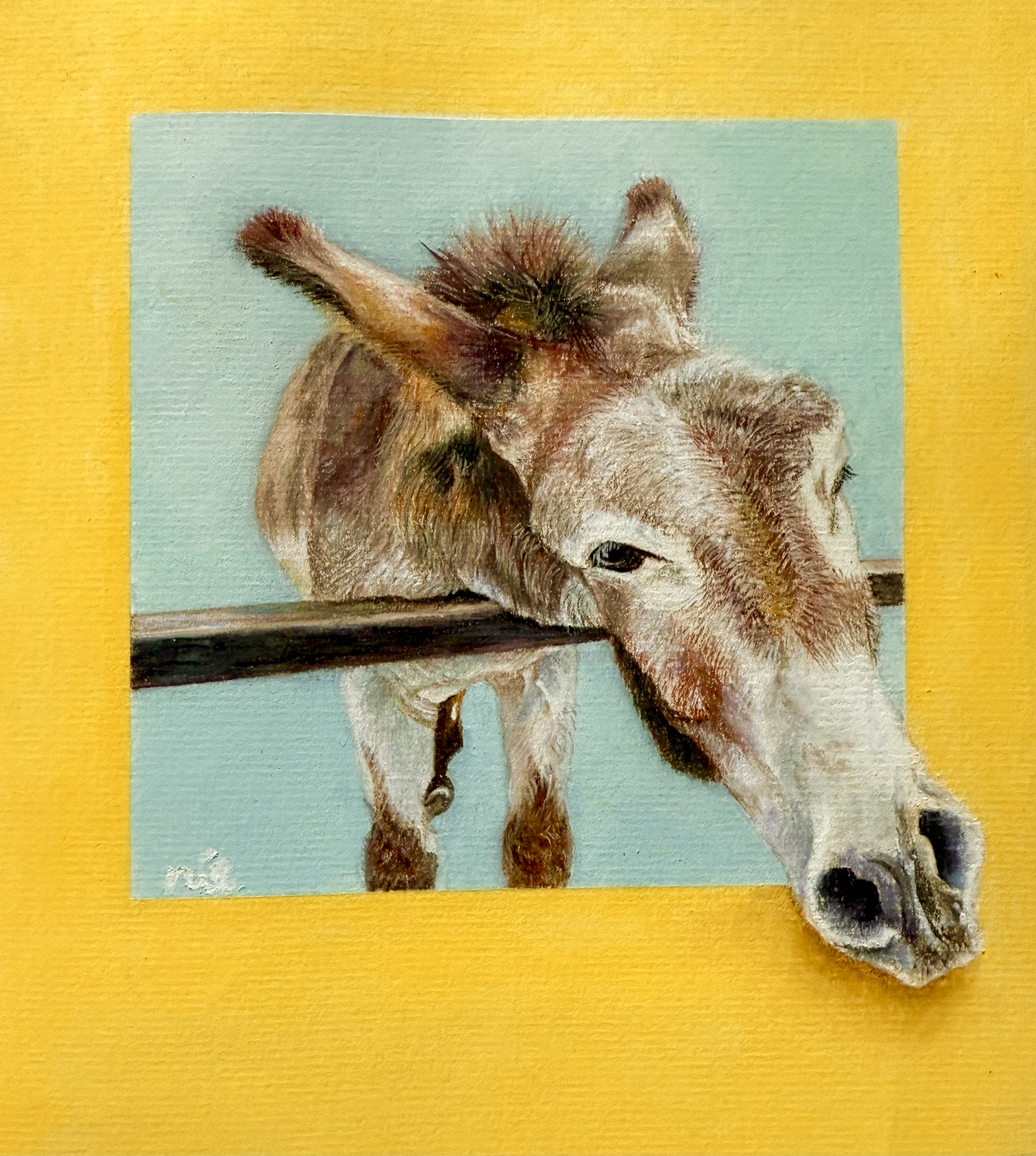 来年は馬年です。