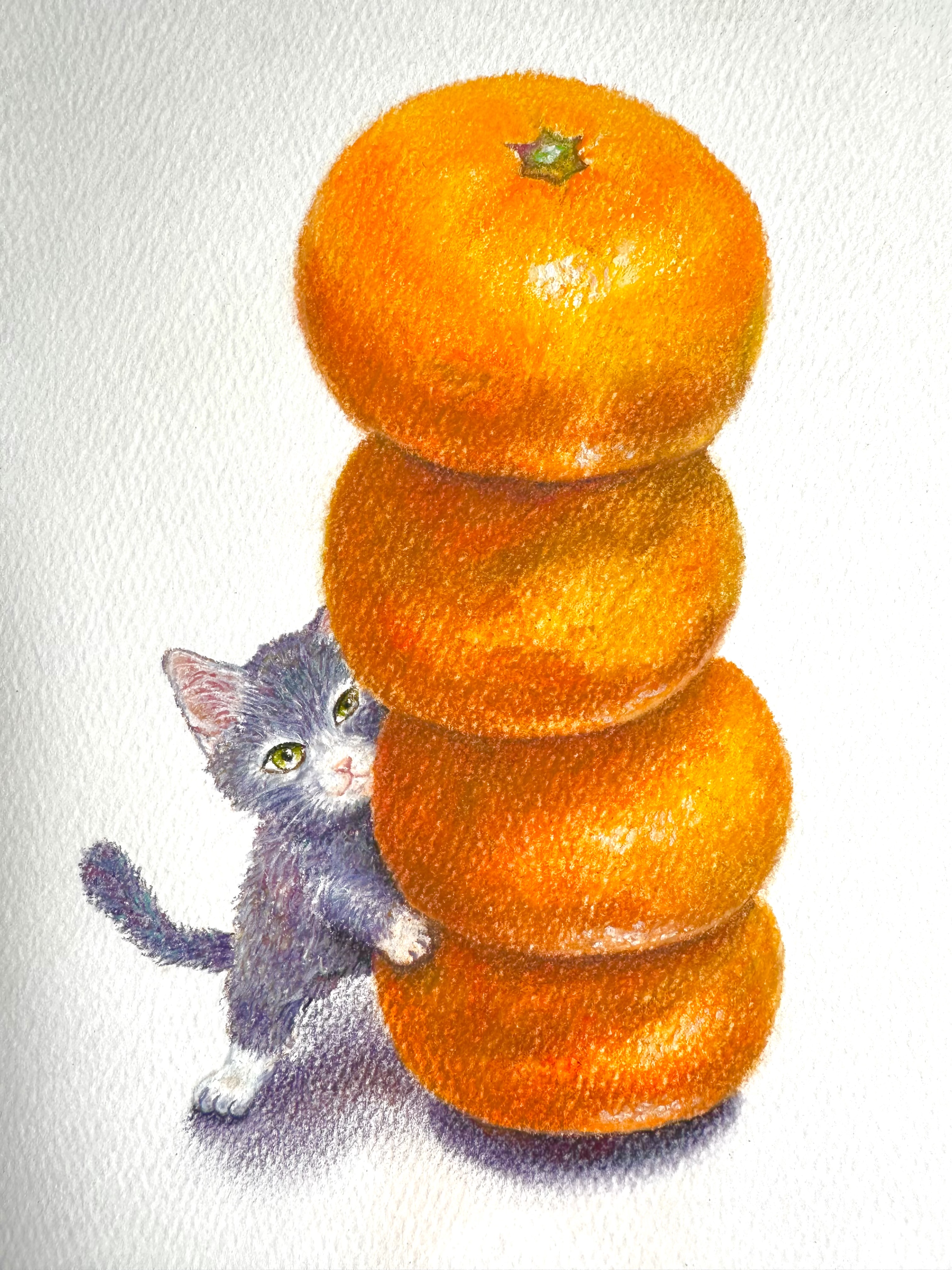 オレンジとねこ