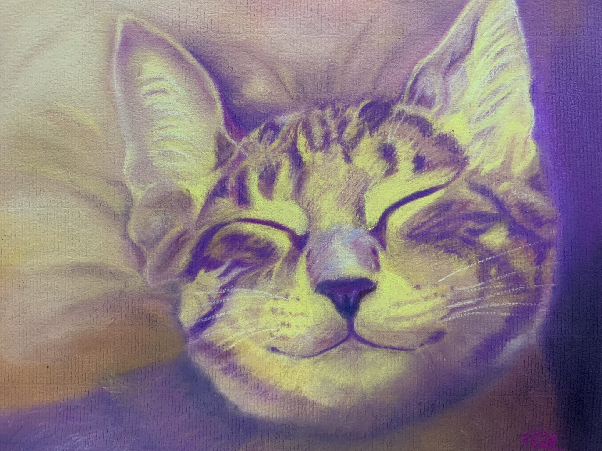 明けましておめでとうございます。