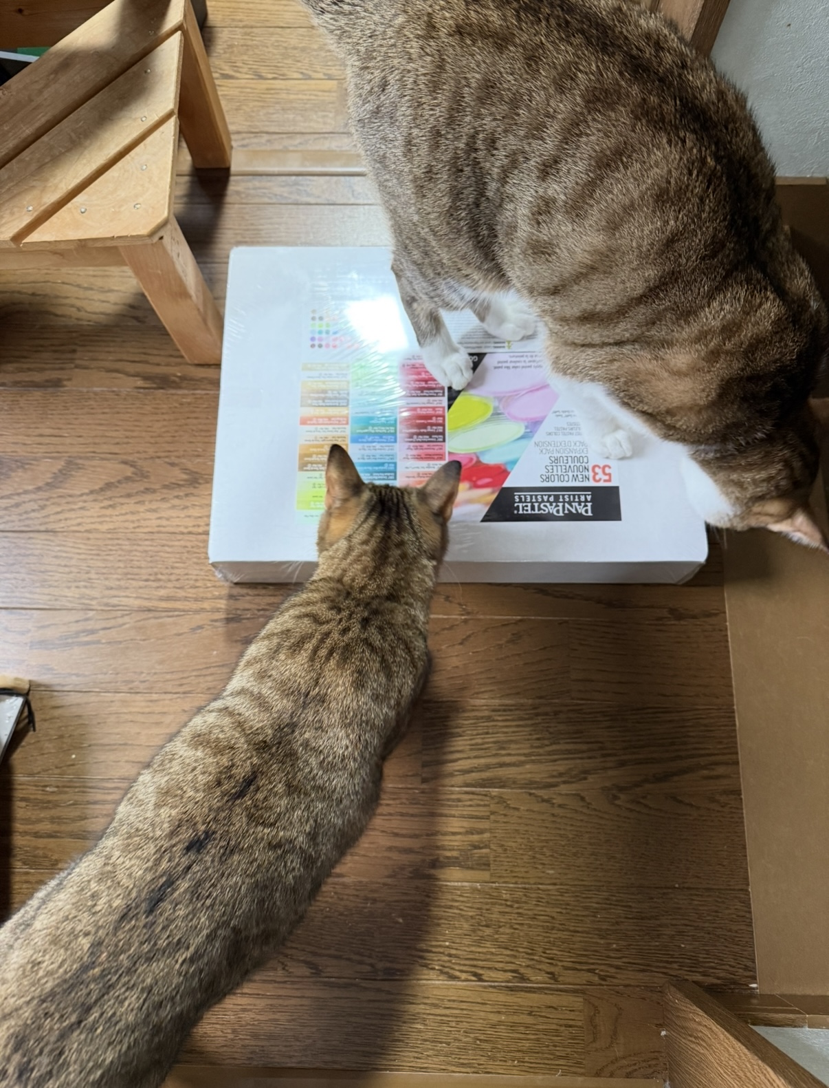 私のクリスマスプレゼント2025