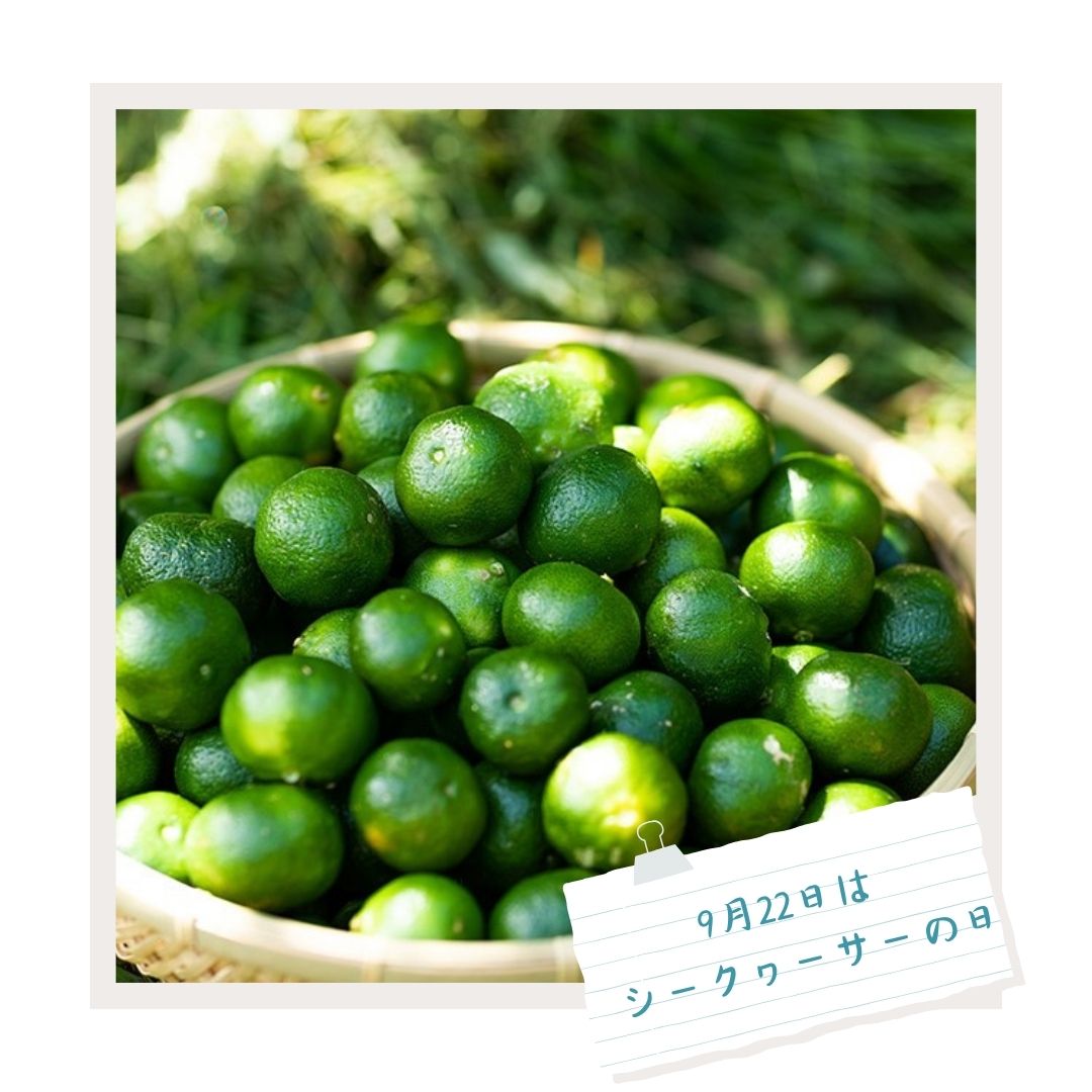 9月22日は「シークヮーサーの日」特別キャンペーン