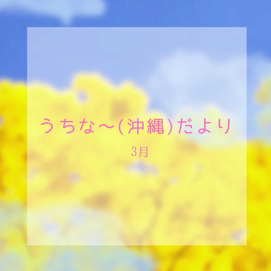 おきなわ晴家より 【3月うちな～(沖縄)だより 】