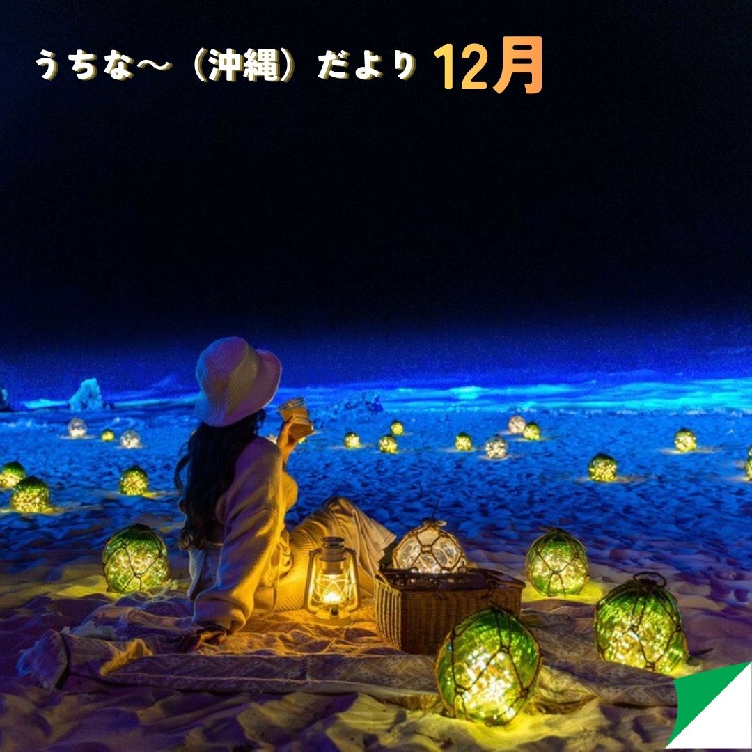 おきなわ晴家より 【12月うちな~(沖縄)だより 】