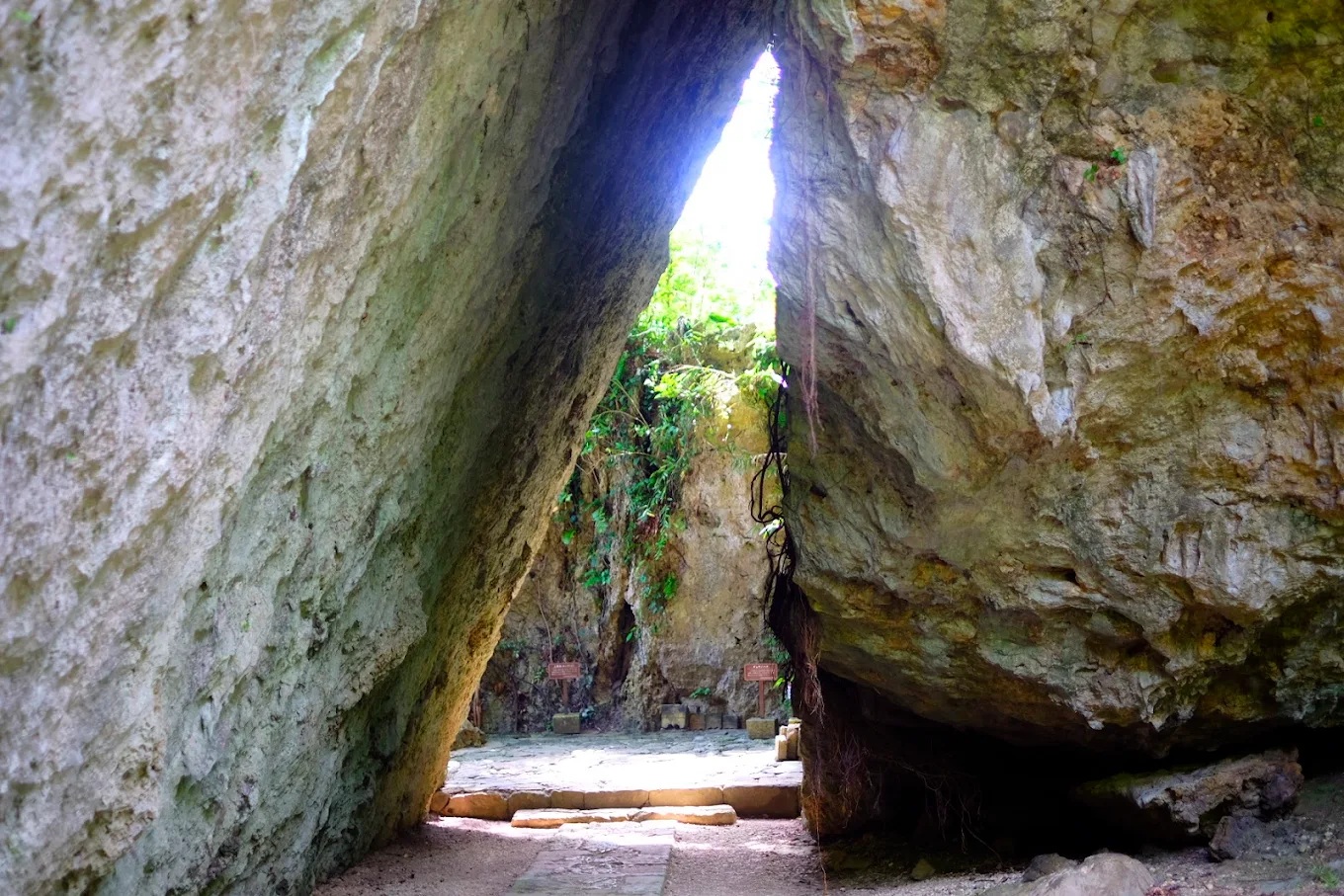 おきなわ晴家より 【9月うちな~(沖縄)だより 】