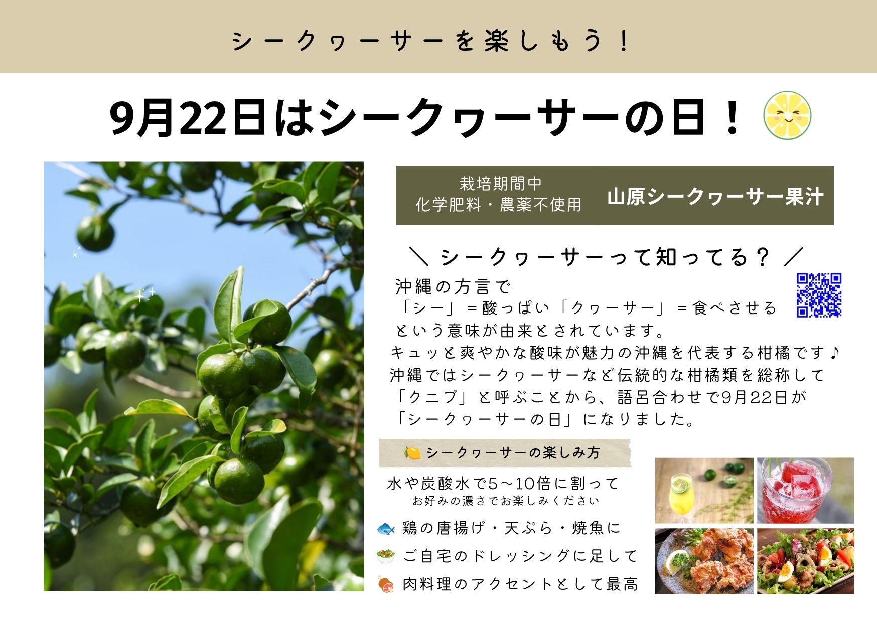 9月「うちな～（沖縄）だより」
