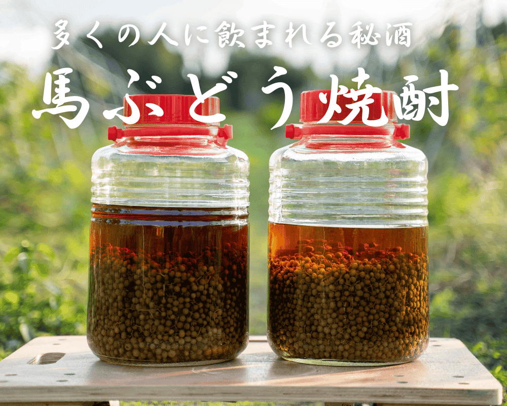 「馬ぶどう焼酎漬け」健康と楽しみの秘訣 - 長く愛される理由