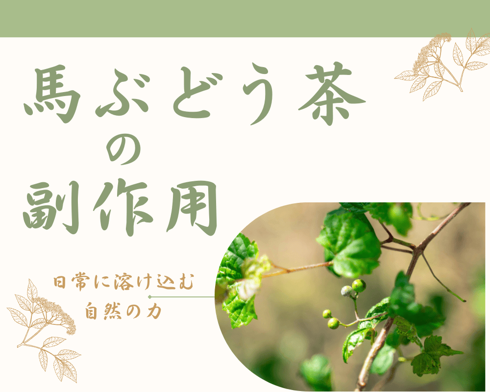 馬ぶどう茶とその副作用 - 日常に溶け込む自然の力