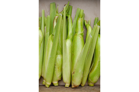 11月10日発送分のお野菜セット