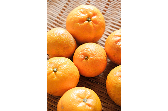 2月16日発送分のお野菜セット