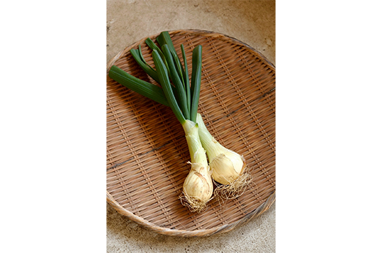 2月2日発送分のお野菜セット