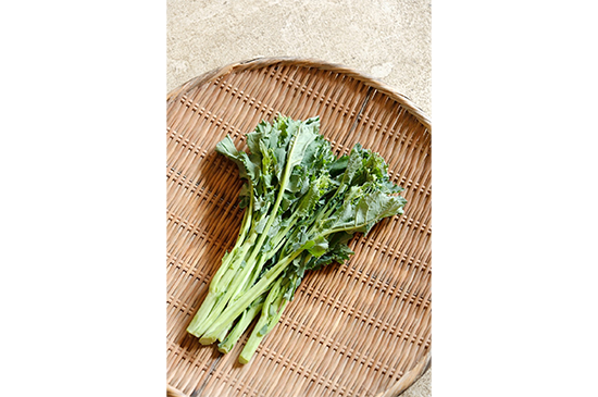 3月9日発送分のお野菜セット