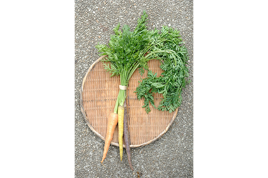 6月15日発送分のお野菜セット