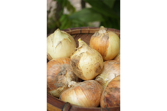 3月23日発送分のお野菜セット