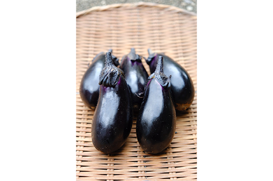 8月10日発送分のお野菜セット