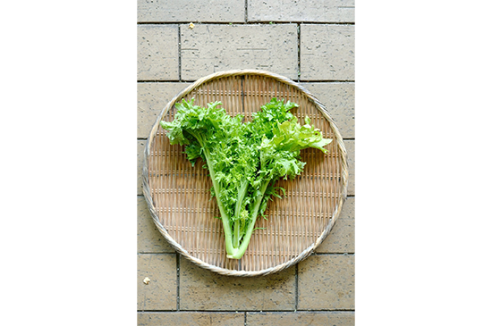 6月1日発送分のお野菜セット
