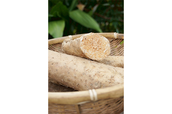 12月1日発送分のお野菜セット