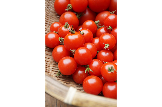 7月20日発送分のお野菜セット