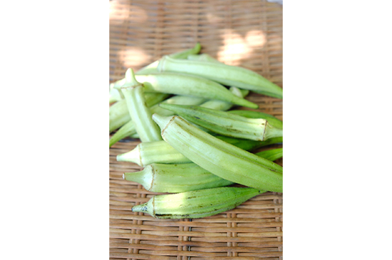 8月31日発送分のお野菜セット