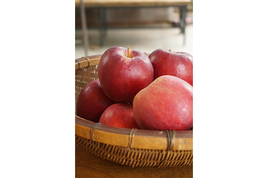 11月3日発送分のお野菜セット