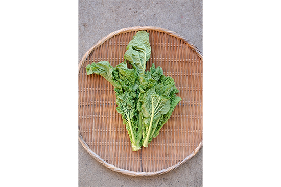 1月26日発送分のお野菜セット