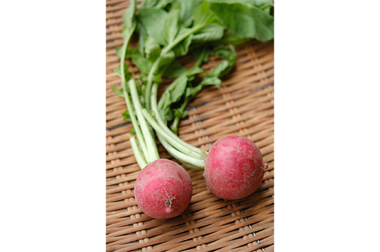 5月25日発送分のお野菜セット
