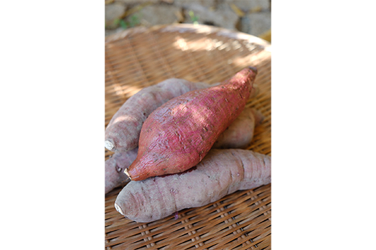 12月29日発送分のお野菜セット