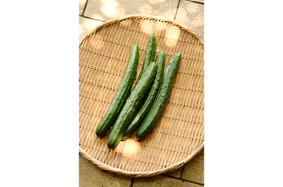 6月22日発送分のお野菜セット