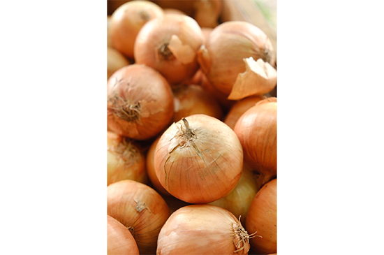 10月20日発送分のお野菜セット