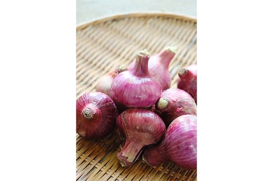 6月8日発送分のお野菜セット