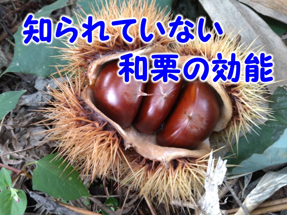 知られていない栗の効能！
