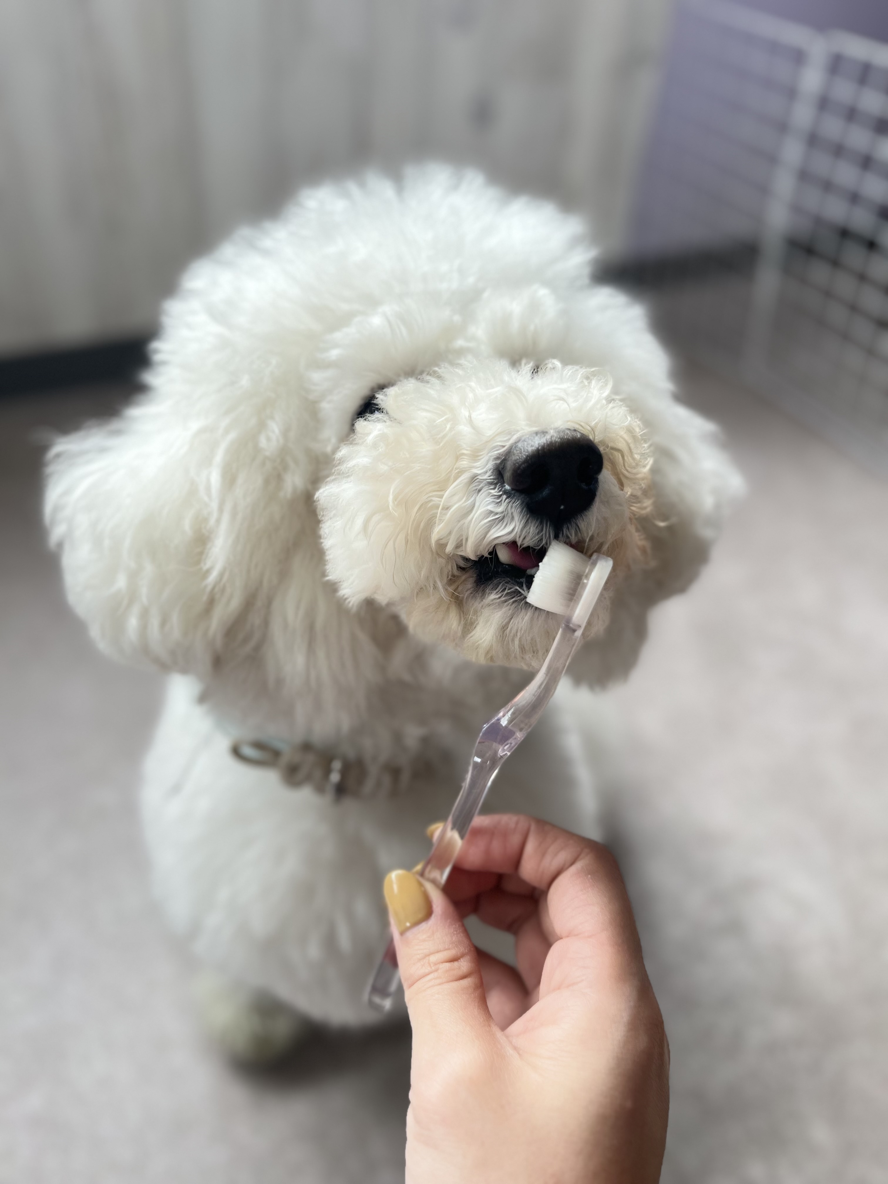 使い続けるとこんな事になるの～！？
