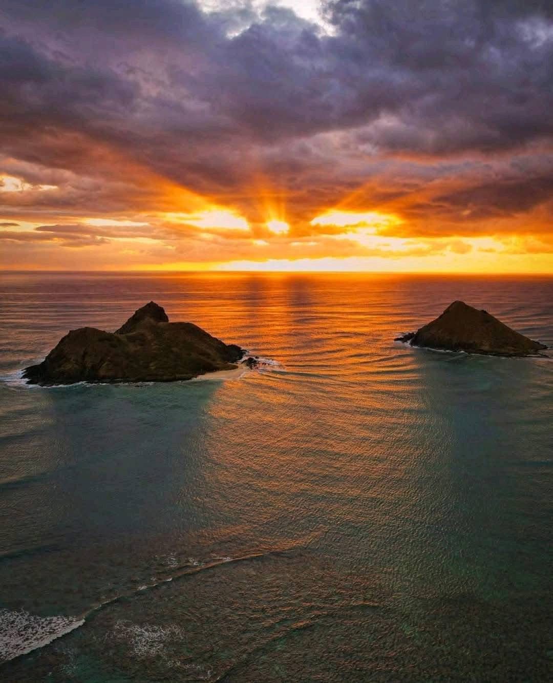 2025-2026 愛の連鎖と贈り物