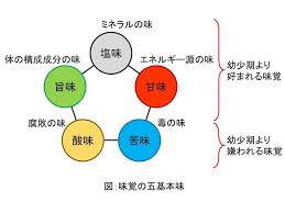 味覚について