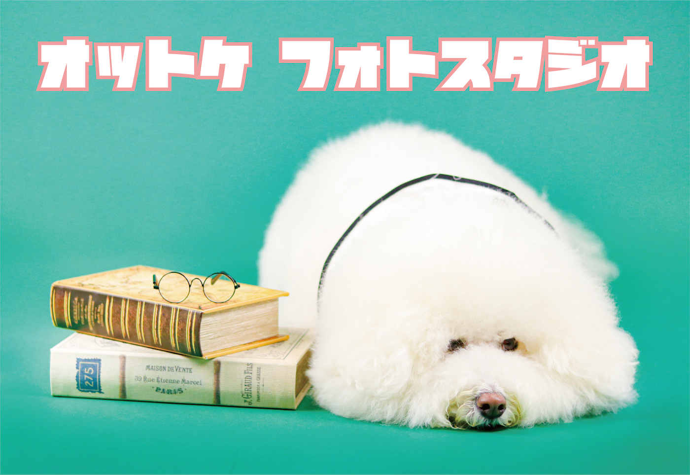 撮影の各種詳細