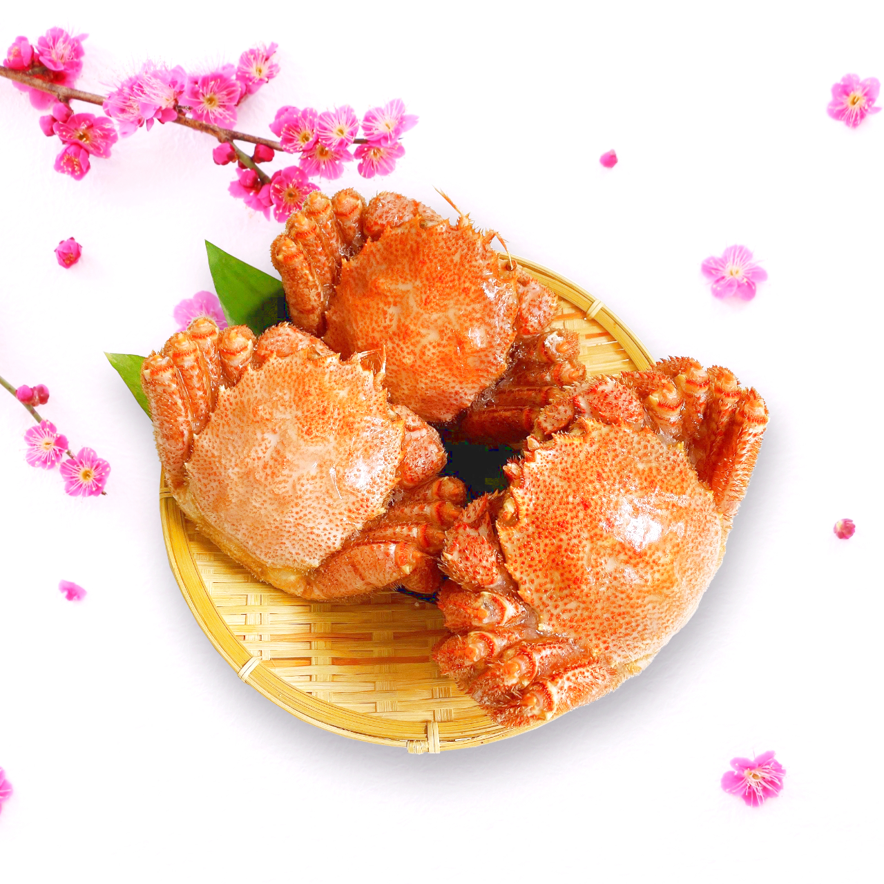 どこでもG.H春の限定海鮮ギフトのご紹介♪